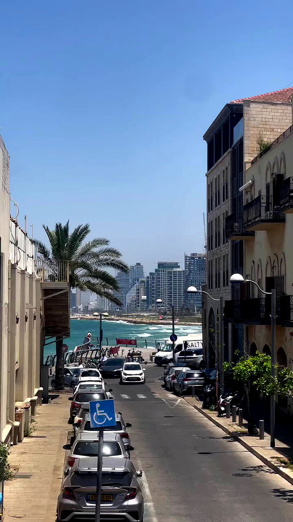 v.e.r.o._.n.i.c.a archive video preview