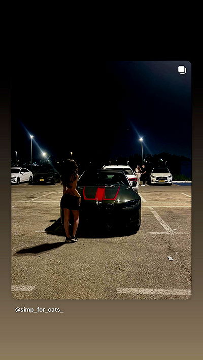 simp_for_cats_ simp_for_cats_ archive video