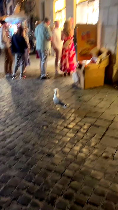 laluzone laluzone archive video