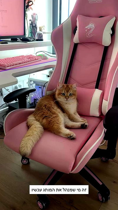 itsilanosh itsilanosh archive video