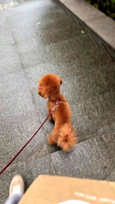 meleeva meleeva archive video