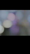 xiaoxiao_io Altpins Profile Picture