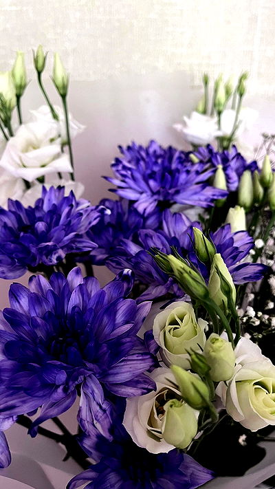 alskohope alskohope archive video