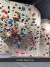 cclaire.bbear1 Altpins Profile Picture