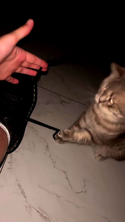 natalllluli natalllluli archive video