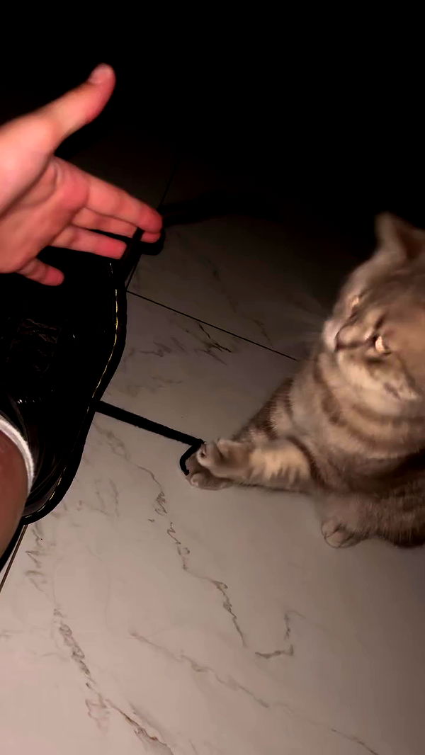 natalllluli archive video preview