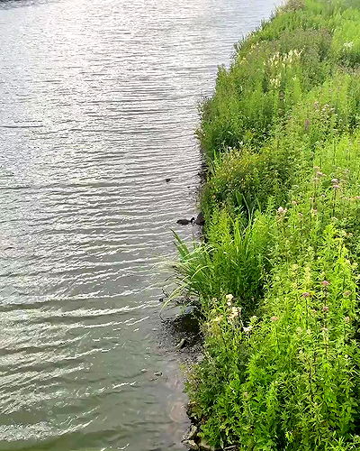 yoo.mon yoo.mon archive video