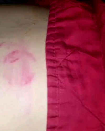 shayli_or shayli_or archive video