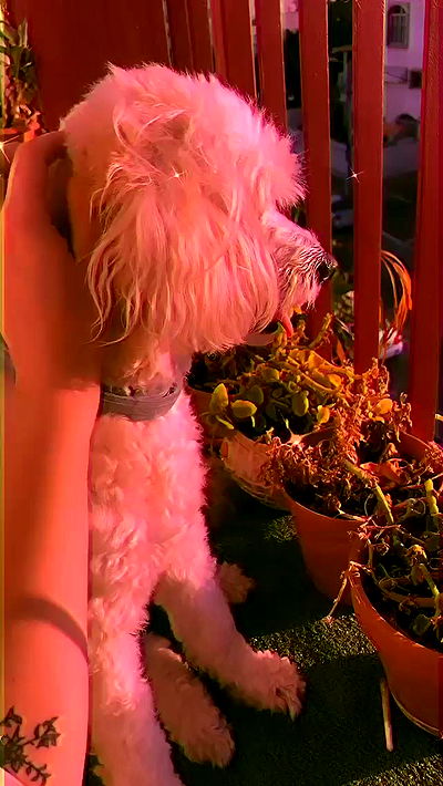 feelbetterinmysweater feelbetterinmysweater archive video