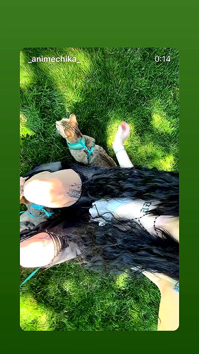 _animechika_ _animechika_ archive video