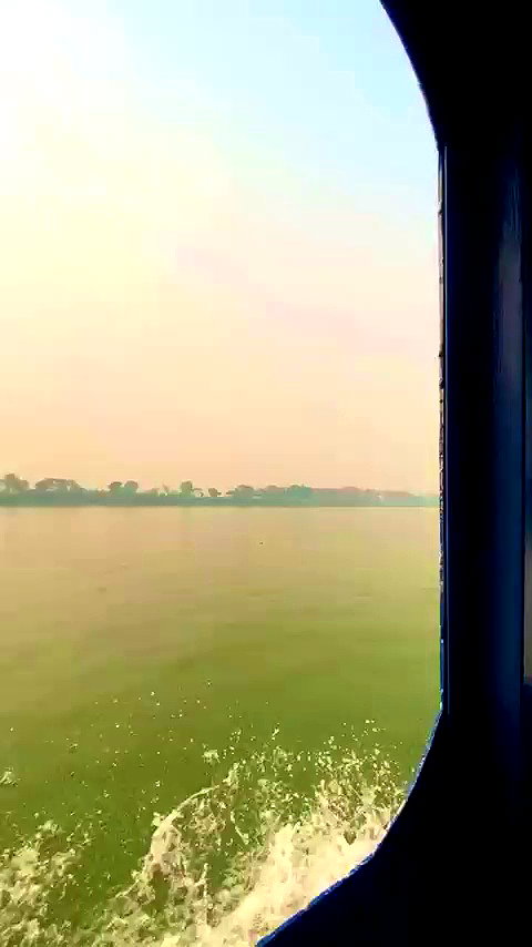 a.shaked_ archive video preview