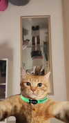 _wayw4rd_ Altpins Profile Picture