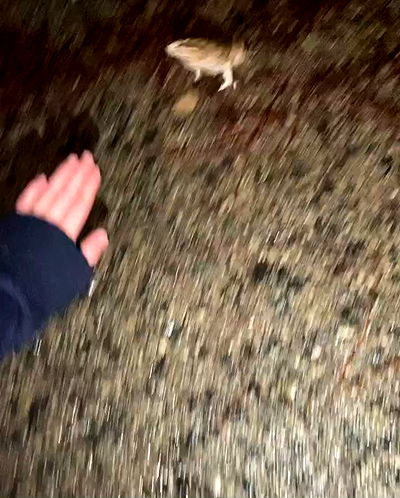 feelbetterinmysweater feelbetterinmysweater archive video