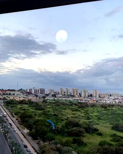 simp_for_cats_ simp_for_cats_ archive video