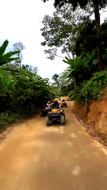 noammalka___ archive video preview