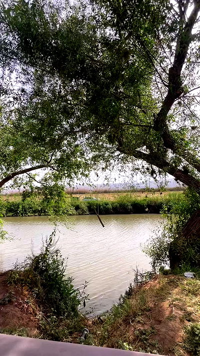 rivkavel rivkavel archive video