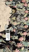 liem_sadan Altpins Profile Picture