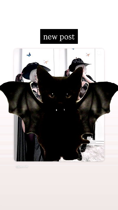 purrrik purrrik archive video