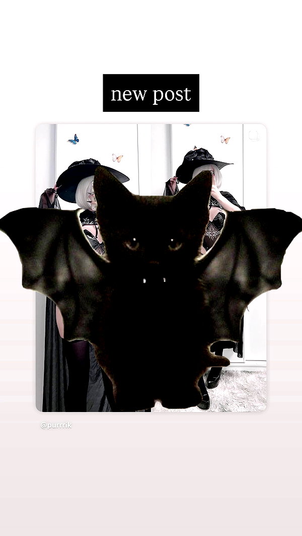 purrrik archive video preview