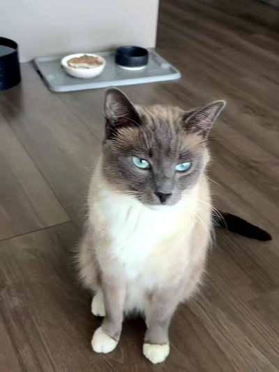 wuvkyu wuvkyu archive video