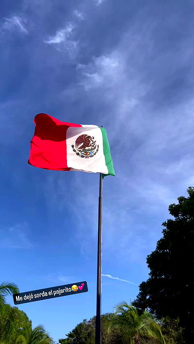 shunli__mei shunli__mei archive video