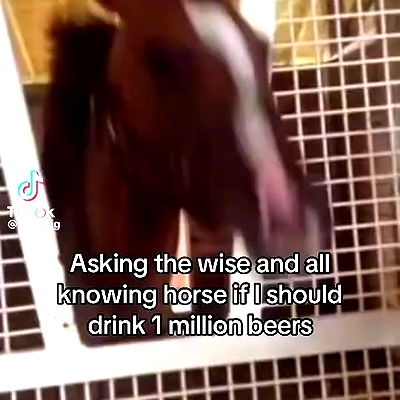 zoxmbiex zoxmbiex archive video