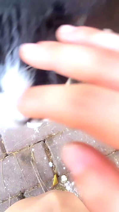 feelbetterinmysweater feelbetterinmysweater archive video