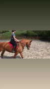elena_stain Altpins Profile Picture