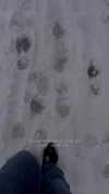 corinnemazzoli Altpins Profile Picture