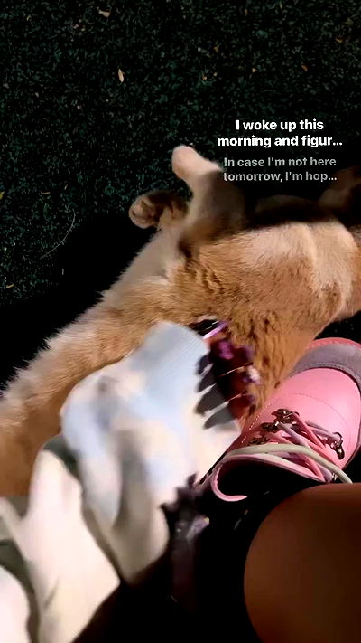 hellokittyangel666 hellokittyangel666 archive video