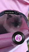 zz.eazoning Altpins Profile Picture