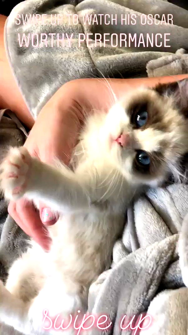 taylorswift archive video preview