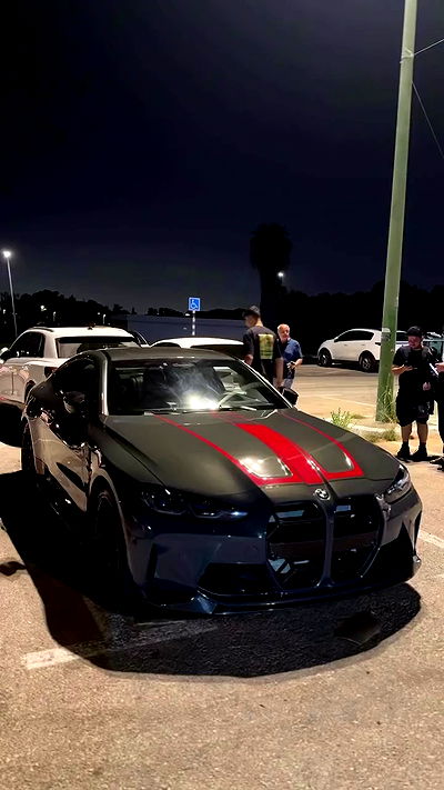 simp_for_cats_ simp_for_cats_ archive video