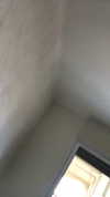 shir_moshe666 Altpins Profile Picture