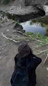 lavbackpack Altpins Profile Picture