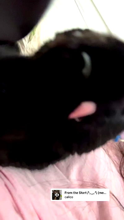 hellokittyangel666 hellokittyangel666 archive video