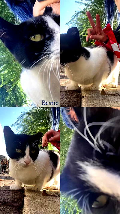 feelbetterinmysweater feelbetterinmysweater archive video