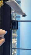 lisssa_sha Altpins Profile Picture