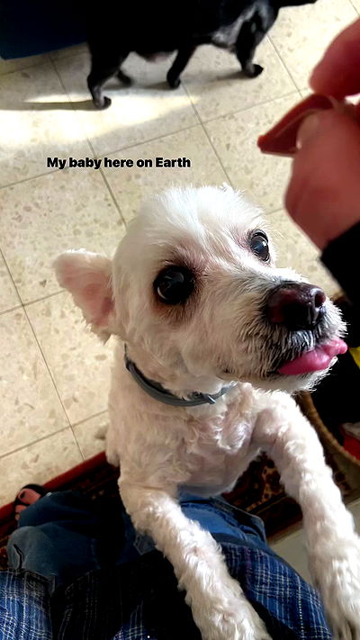 feelbetterinmysweater feelbetterinmysweater archive video