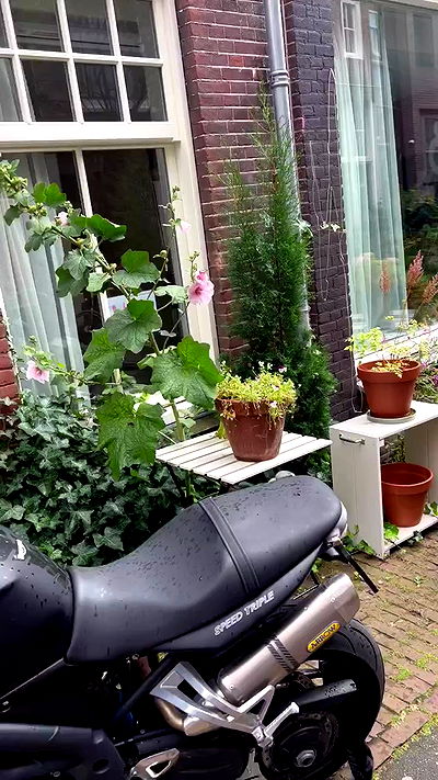 bakedsloths bakedsloths archive video