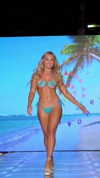 wellington_miami Altpins Profile Picture