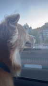 amyeett Altpins Profile Picture