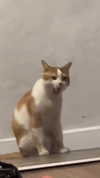 quitmell Altpins Profile Picture