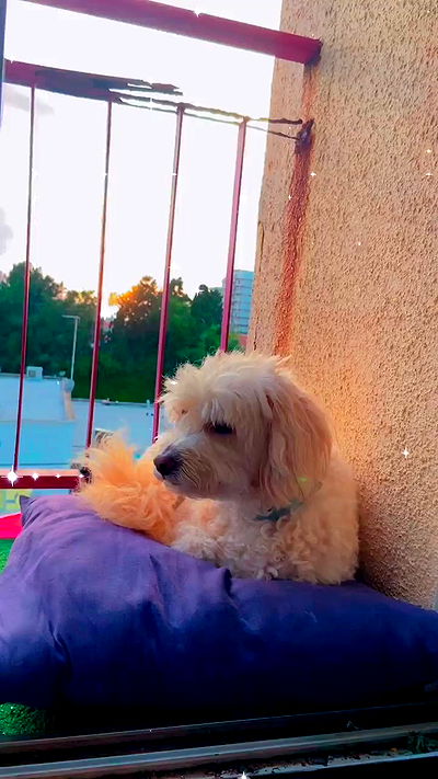 feelbetterinmysweater feelbetterinmysweater archive video