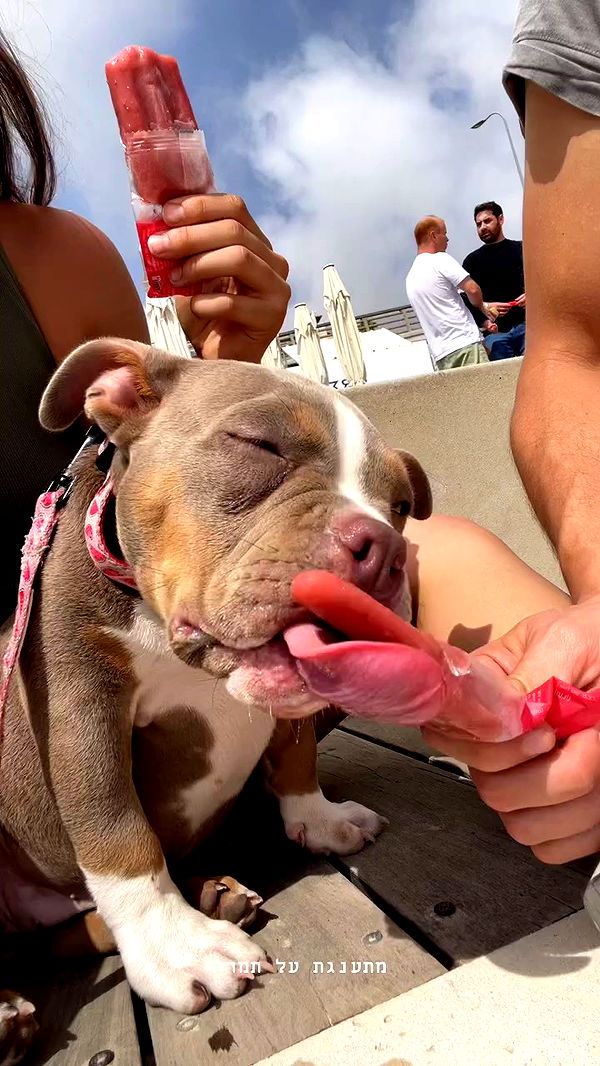 kesemgreenyer archive video preview