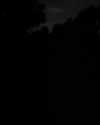 daniella_koosit Altpins Profile Picture