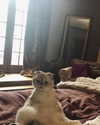 taylorswift Altpins Profile Picture