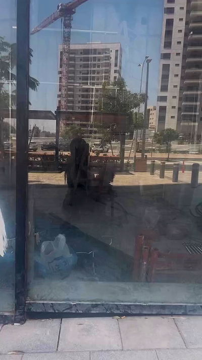 rebecka_tsadok rebecka_tsadok archive video