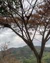 dianavgalvis Altpins Profile Picture