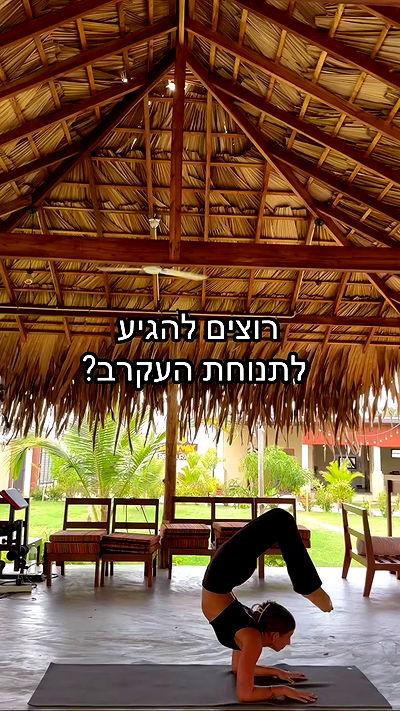 liad.arazi liad.arazi archive video